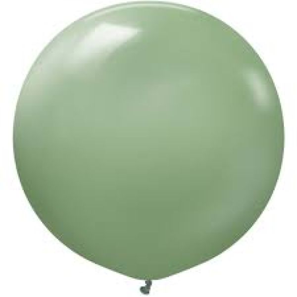 24 INC RETRO EUCALYPTUS BALON 2Lİ
