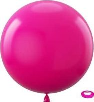 24 INC FUŞYA BALON 2Lİ